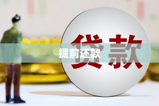 花莲提前还款