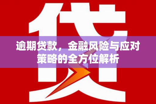 花莲逾期贷款，金融风险与应对策略的全方位解析