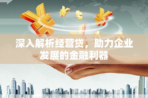 花莲深入解析经营贷，助力企业发展的金融利器
