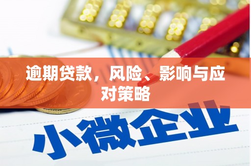 花莲逾期贷款，风险、影响与应对策略