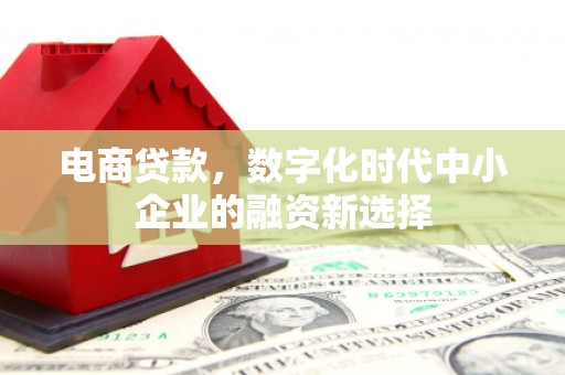 花莲电商贷款，数字化时代中小企业的融资新选择