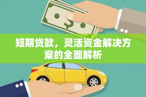 花莲短期贷款，灵活资金解决方案的全面解析