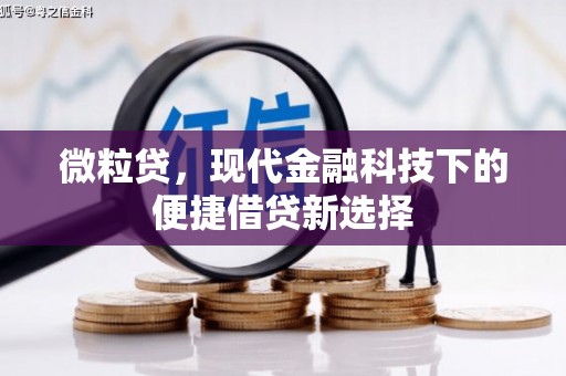花莲微粒贷，现代金融科技下的便捷借贷新选择