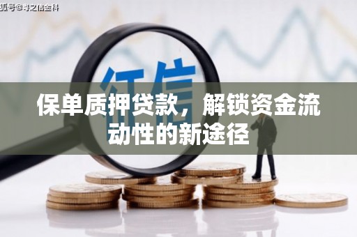花莲保单质押贷款，解锁资金流动性的新途径