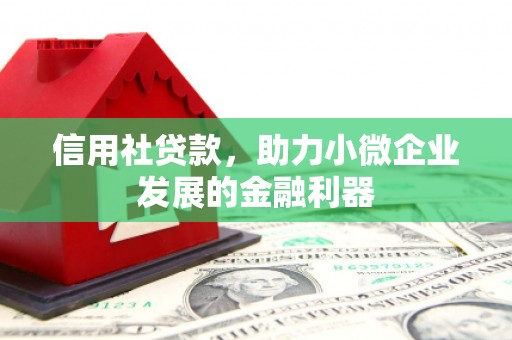 花莲信用社贷款，助力小微企业发展的金融利器