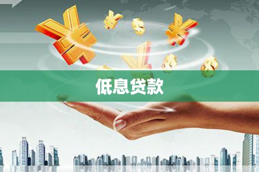 花莲低息贷款