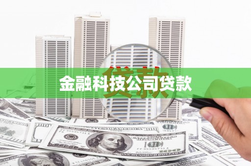 花莲金融科技公司贷款