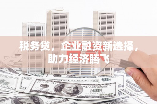花莲税务贷，企业融资新选择，助力经济腾飞