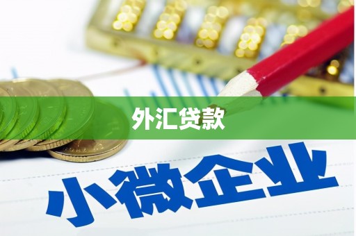 花莲外汇贷款