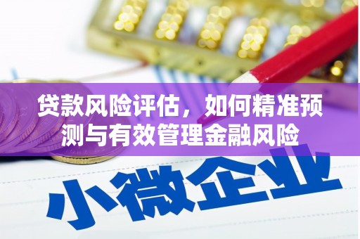 花莲贷款风险评估，如何精准预测与有效管理金融风险