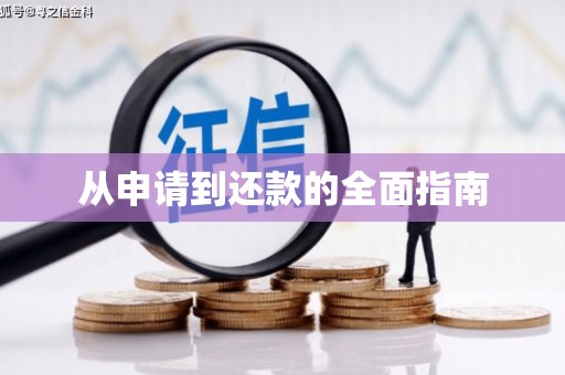 花莲从申请到还款的全面指南
