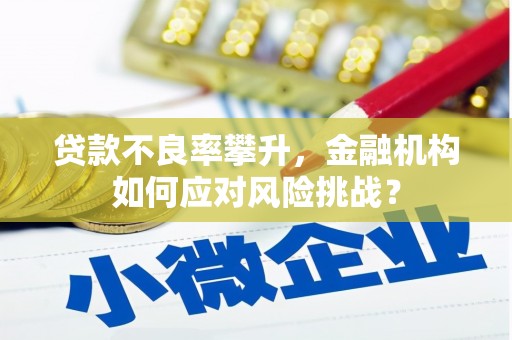 花莲贷款不良率攀升，金融机构如何应对风险挑战？