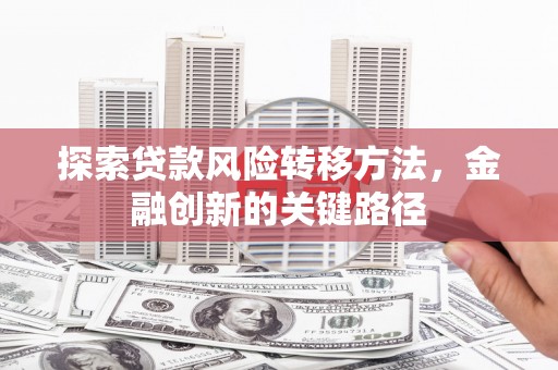 花莲探索贷款风险转移方法，金融创新的关键路径