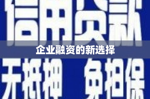 花莲企业融资的新选择