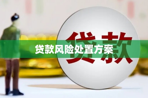 花莲贷款风险处置方案