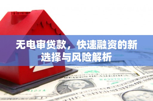 花莲无电审贷款，快速融资的新选择与风险解析