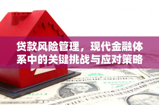 花莲贷款风险管理，现代金融体系中的关键挑战与应对策略