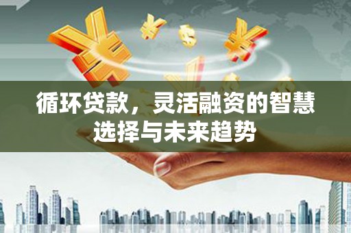 花莲循环贷款，灵活融资的智慧选择与未来趋势