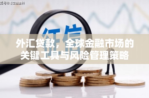 花莲外汇贷款，全球金融市场的关键工具与风险管理策略