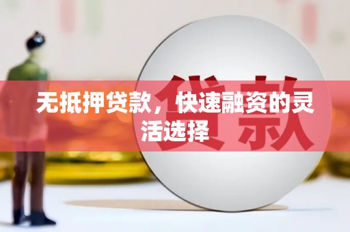 花莲无抵押贷款，快速融资的灵活选择