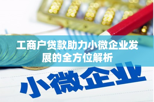 花莲工商户贷款助力小微企业发展的全方位解析
