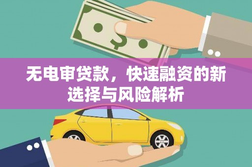 花莲无电审贷款，快速融资的新选择与风险解析