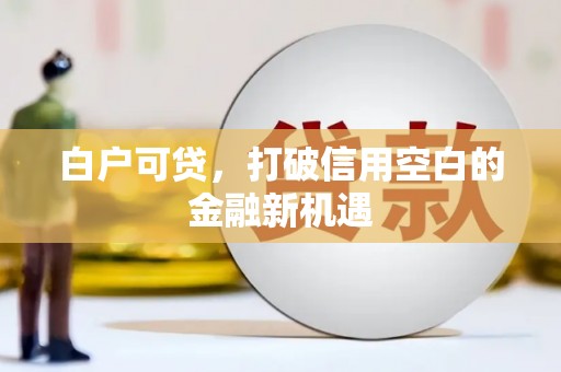花莲白户可贷，打破信用空白的金融新机遇