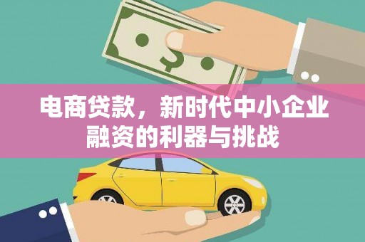花莲电商贷款，新时代中小企业融资的利器与挑战