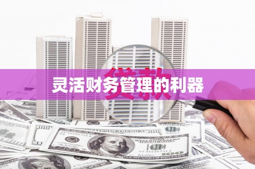 花莲灵活财务管理的利器