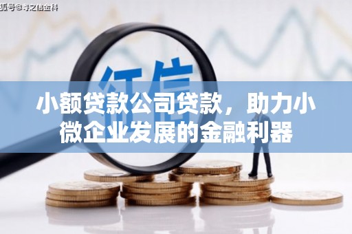 花莲小额贷款公司贷款，助力小微企业发展的金融利器