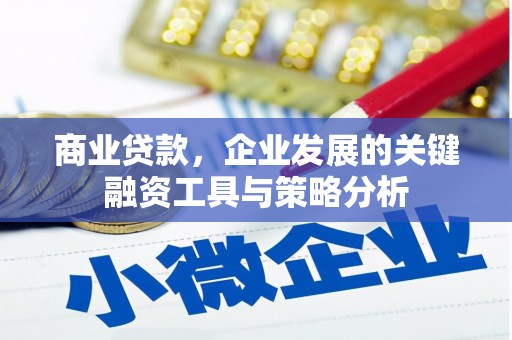 花莲商业贷款，企业发展的关键融资工具与策略分析
