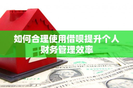 花莲如何合理使用借呗提升个人财务管理效率