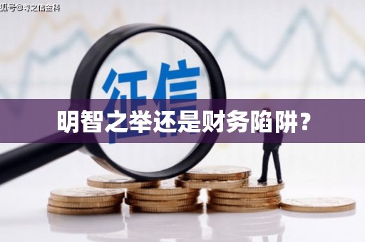花莲明智之举还是财务陷阱？