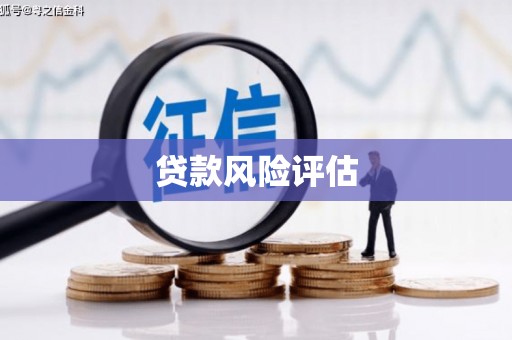 花莲贷款风险评估