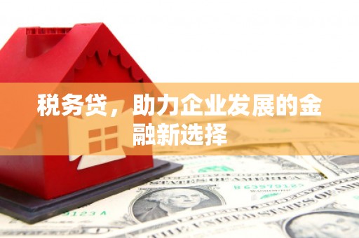 花莲税务贷，助力企业发展的金融新选择