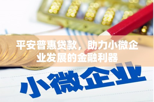 花莲平安普惠贷款，助力小微企业发展的金融利器