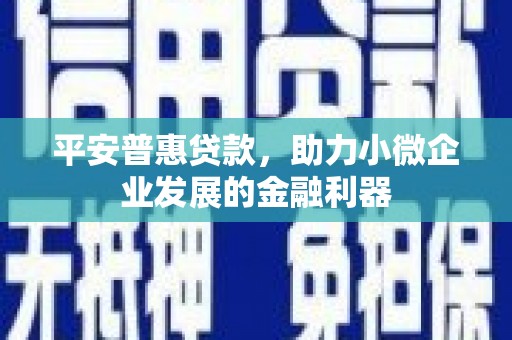 花莲平安普惠贷款，助力小微企业发展的金融利器