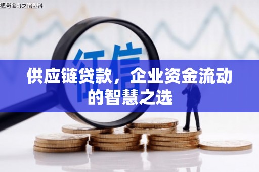 花莲供应链贷款，企业资金流动的智慧之选