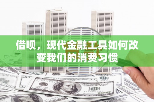 花莲借呗，现代金融工具如何改变我们的消费习惯