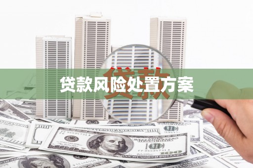 花莲贷款风险处置方案