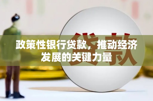 花莲政策性银行贷款，推动经济发展的关键力量
