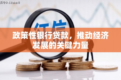 花莲政策性银行贷款，推动经济发展的关键力量
