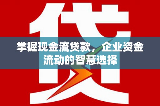 花莲掌握现金流贷款，企业资金流动的智慧选择