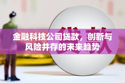 花莲金融科技公司贷款，创新与风险并存的未来趋势