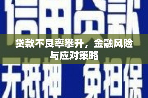 花莲贷款不良率攀升，金融风险与应对策略