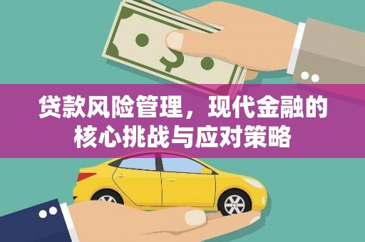 花莲贷款风险管理，现代金融的核心挑战与应对策略