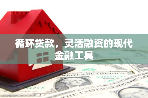 花莲循环贷款，灵活融资的现代金融工具