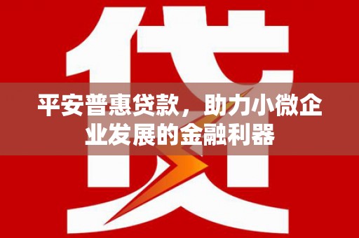 花莲平安普惠贷款，助力小微企业发展的金融利器