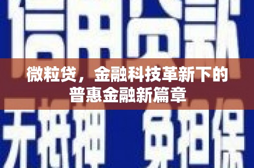 花莲微粒贷，金融科技革新下的普惠金融新篇章