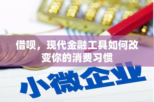 花莲借呗，现代金融工具如何改变你的消费习惯